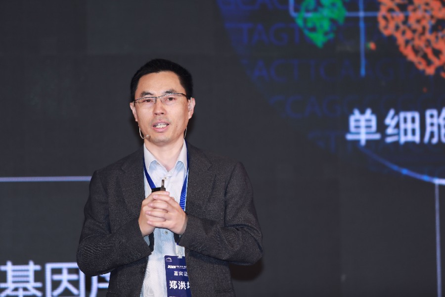 鄭洪坤